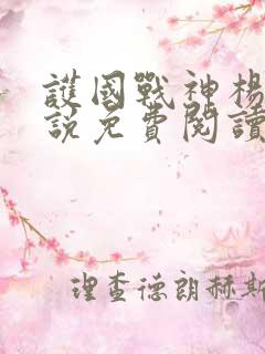 护国战神杨风小说免费阅读