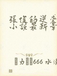 张俊的逆袭之路小说最新章节