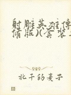 射雕英雄传(新修版)(套装共4本) 小说