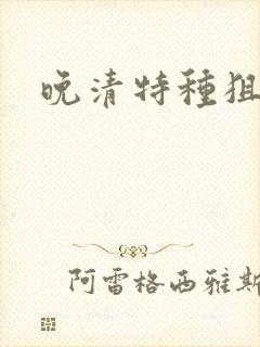 晚清特种狙击手