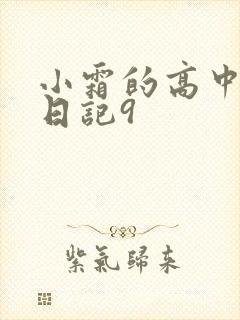 小霜的高中成长日记9