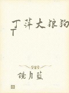 丁萍大狼狗TXT