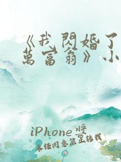 《我闪婚了个亿万富翁》小说