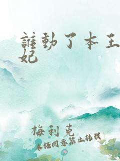 谁动了本王的悍妃