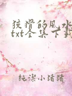 狡猾的风水相师txt全集下载