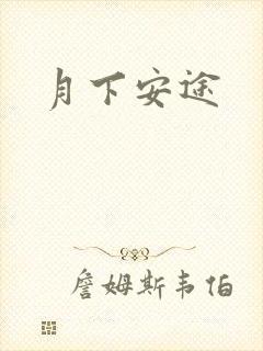 月下安途