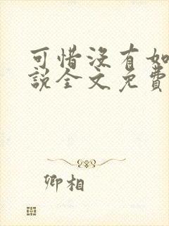 可惜没有如果小说全文免费阅读