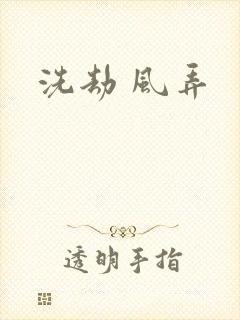 洗劫 风弄