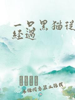 一只黑猫从眼前经过