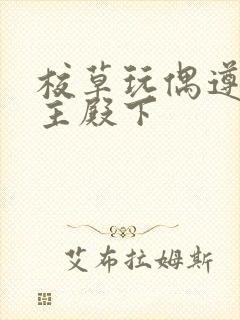 校草玩偶遵命公主殿下