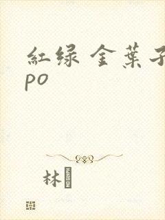 红绿 金叶子 po