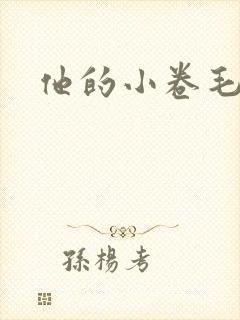 他的小卷毛
