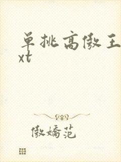 单挑高傲王子txt