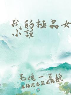 我的极品女老师小说