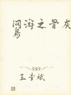 网游之骨灰级菜鸟