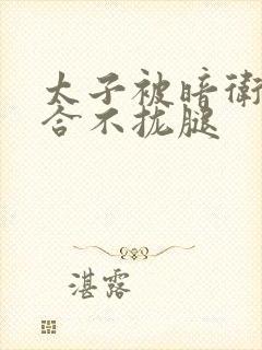 太子被暗卫c到合不拢腿