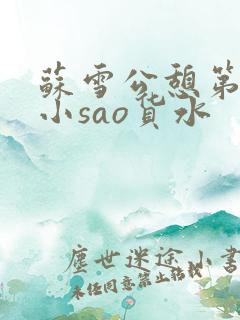 苏雪公憩第一章小sao货水