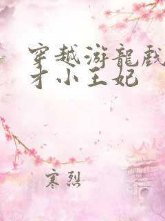 穿越游龙戏凤天才小王妃