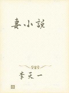 妻小说