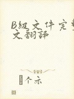 B级文件完整中文翻译
