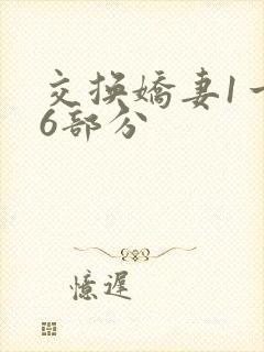 交换娇妻1一36部分