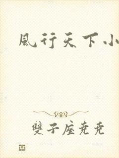 风行天下小说