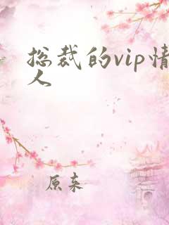 总裁的vip情人