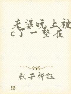 老婆晚上被躁狂c了一整夜