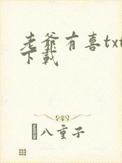 老爷有喜txt下载