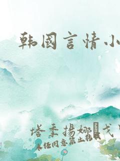 韩国言情小说
