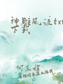 神雕风流txt下载