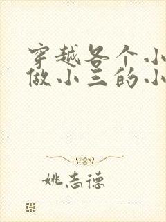 穿越各个小世界做小三的小说