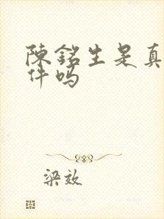 陈铭生是真实事件吗