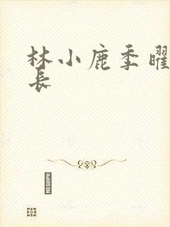 林小鹿季曜珉机长