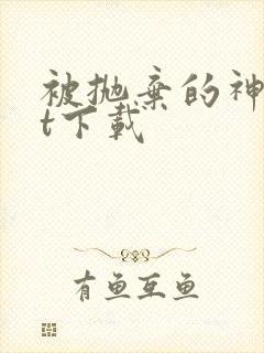 被抛弃的神txt下载