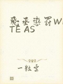 飞丞惩罚WRITE AS