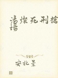 汤灿死刑枪决现场