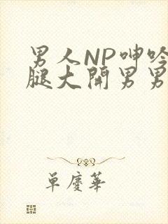 男人NP呻吟双腿大开男男小说