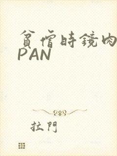 贫僧时镜肉补全PAN