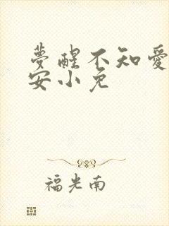 梦醒不知爱欢凉安小免