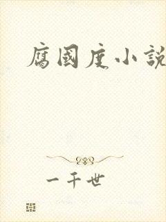 腐国度小说