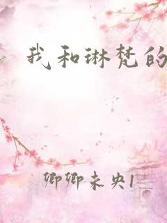 我和琳梵的故事