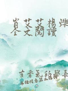 肖艾艾杨烁小说全文阅读