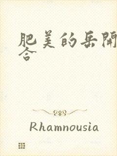 肥美的岳开始配合