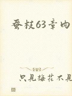 蚕枝63章肉