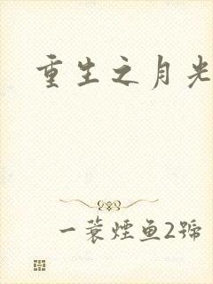 重生之月光少年