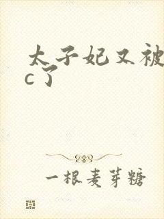 太子妃又被皇帝c了