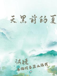 天黑前的夏天