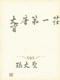 大唐第一庄无弹窗