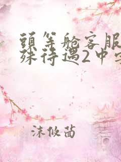 头等舱客服的特殊待遇2中字